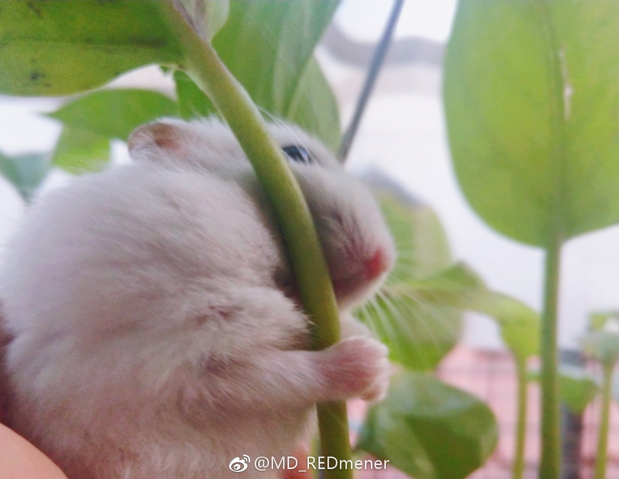 ������а��������� ���ܼҶ�����������ô����