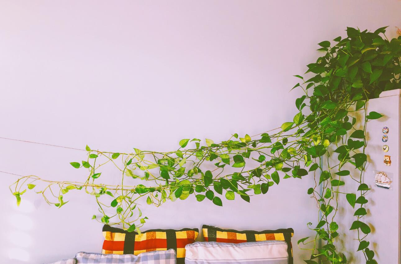 ������а��������� ���ܼҶ�����������ô����