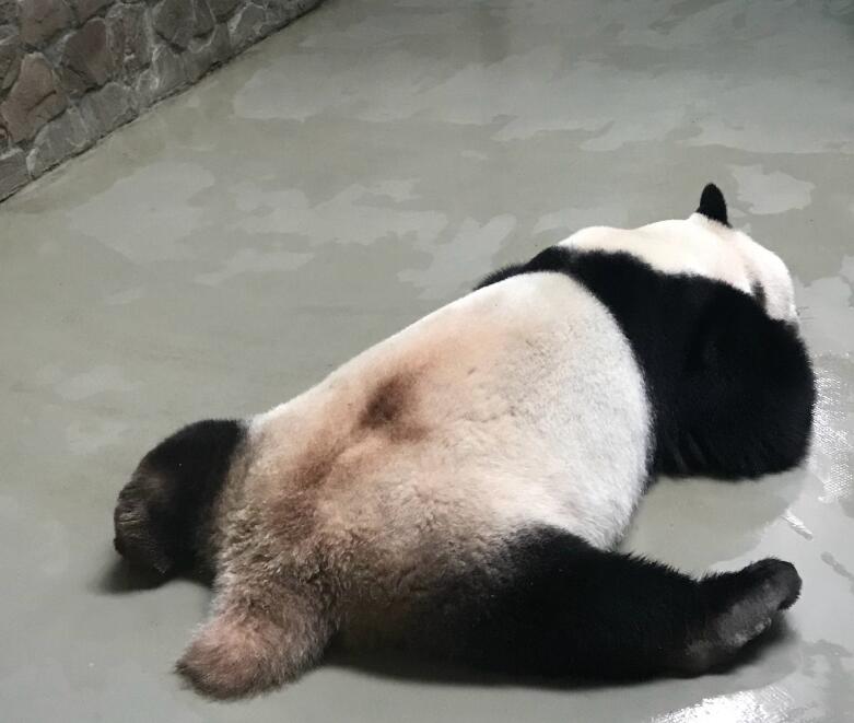 ��֪��˵ʲô�ø���������� ���������������