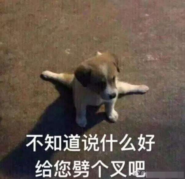 ��֪��˵ʲô�ø���������� ���������������