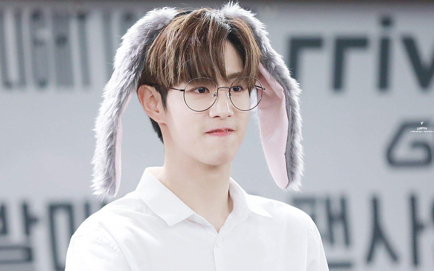 段宜恩为什么叫团团 段宜恩全家取关王嘉尔的原因