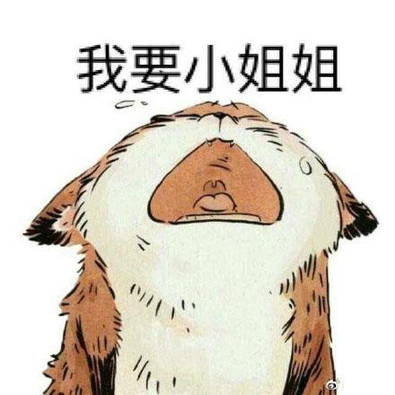 С�����ָ���Լ�������� ����С�����ʲô��˼