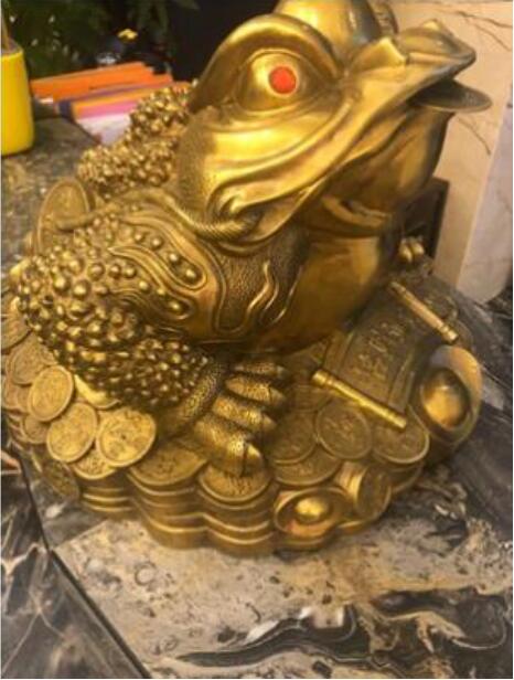 ���ڷŵ���ѷ���ͼ ��������ɻ�ʲô