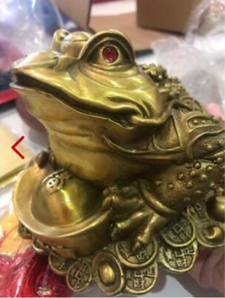 ���ڷŵ���ѷ���ͼ ��������ɻ�ʲô