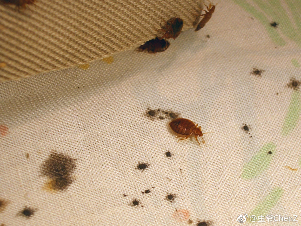 ����ҧ�İ���ɶ���� ������ôԤ������ҧ