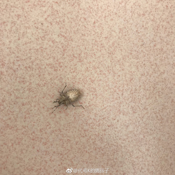 ����ҧ�İ���ɶ���� ������ôԤ������ҧ