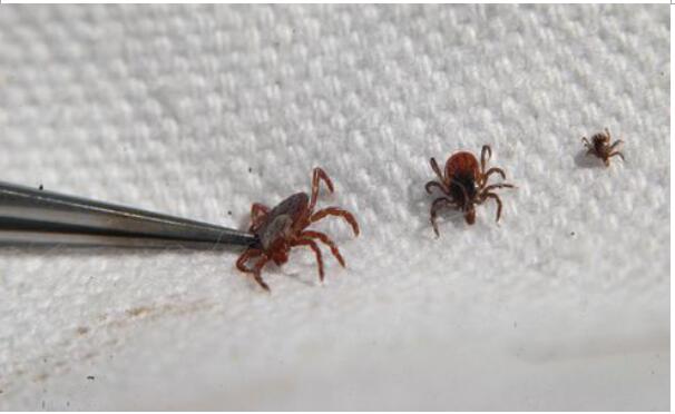 ����ҧ�İ���ɶ���� ������ôԤ������ҧ