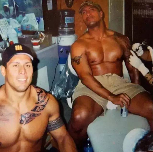 ��ʯǿɭ����������������Ƭ ��ʯǿɭ��ʲô���ֺ�����