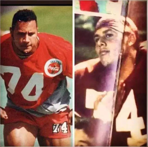 ��ʯǿɭ����������������Ƭ ��ʯǿɭ��ʲô���ֺ�����