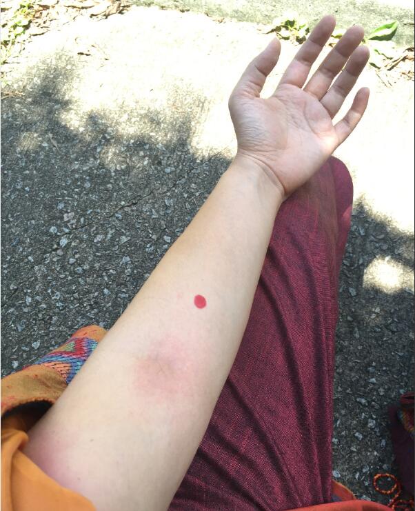 守宫砂的制作方法成分是什么 守宫砂真实存在吗