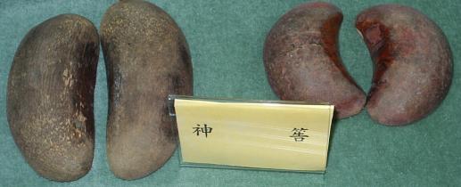 �����Ĺ��ʵĹ�� ����Ĺ�ص�����ʲô����֮��