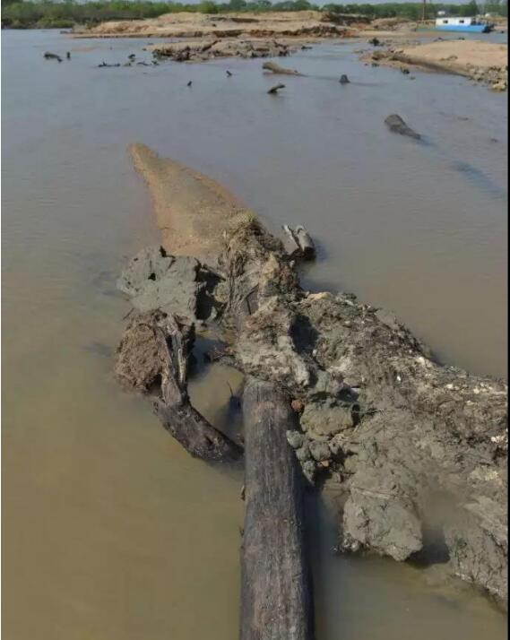 ����ľΪʲô���������������� ����ľ���Ը���ˮ�ﶼ������