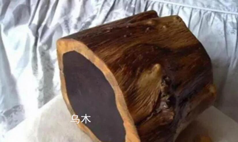 ����ľΪʲô���������������� ����ľ���Ը���ˮ�ﶼ������