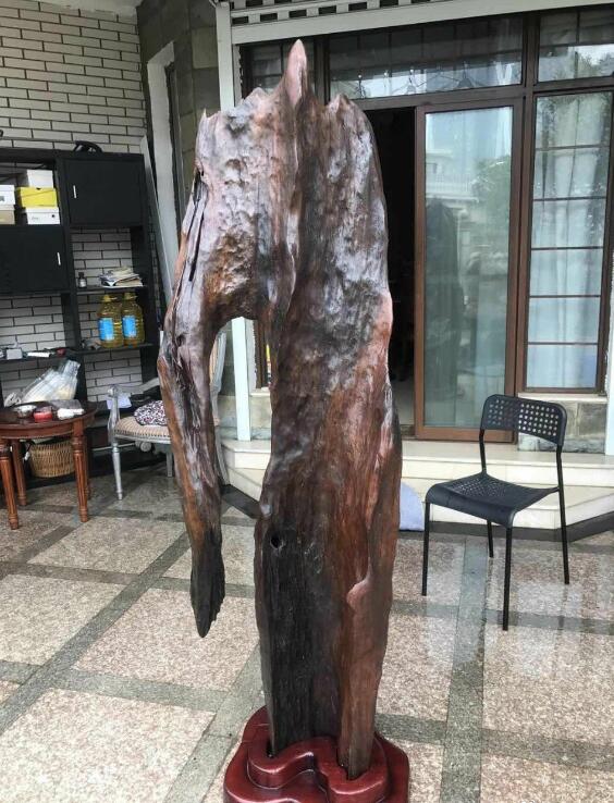 ����ľΪʲô���������������� ����ľ���Ը���ˮ�ﶼ������