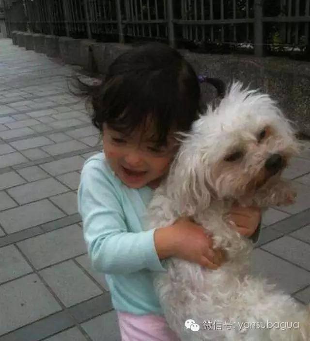 �Ŀ���������ʲôƷ�ֵ� ����Ů������poppy���ճ��г���ͼ