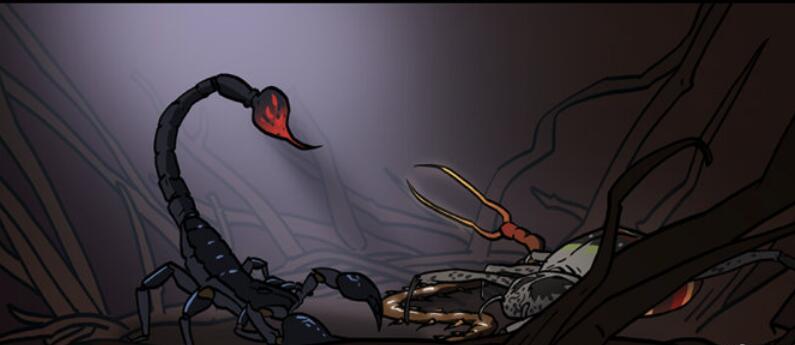 泰国巫术真的存在吗 泰国的巫术是什么来源的