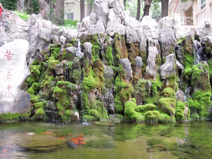 ��ɽ��̦�������� ��̦�޽�ע������