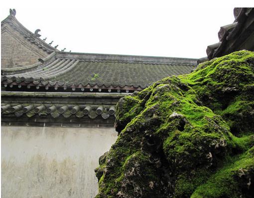 ��ɽ��̦�������� ��̦�޽�ע������