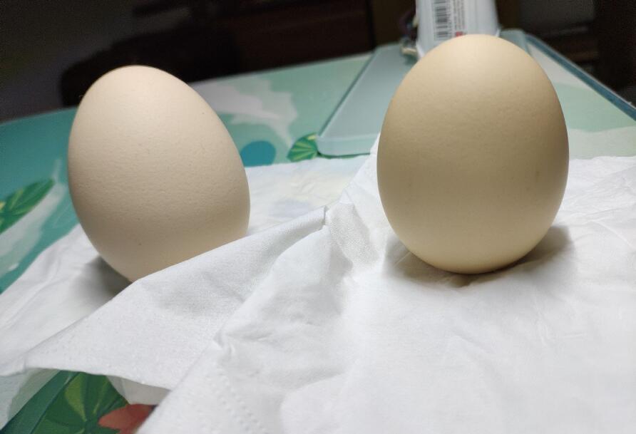 ������������˵�� �����������������ô