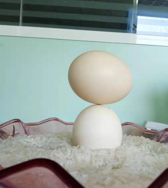 立鸡蛋的迷信说法 立鸡蛋驱鬼魂是真的么