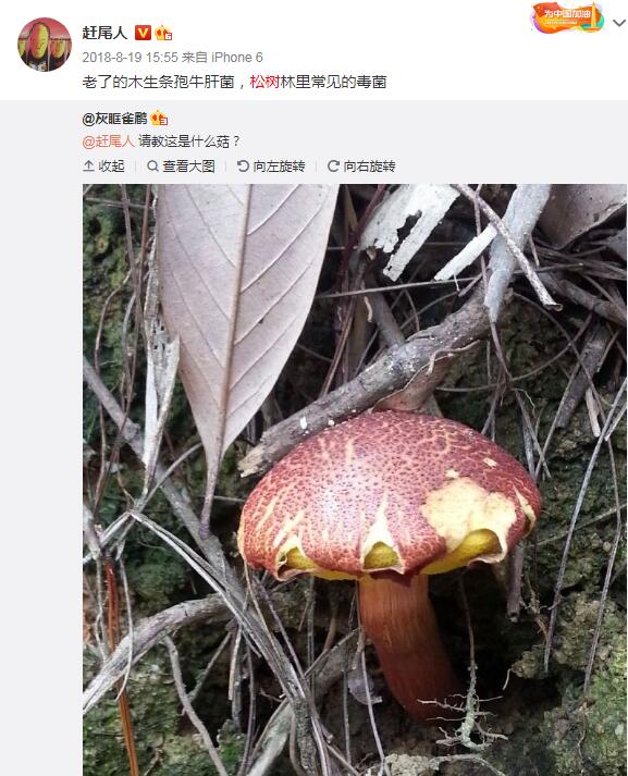 �������泤��Ұ��Ģ�����Գ��� �ж���