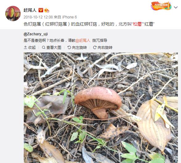 �������泤��Ұ��Ģ�����Գ��� �ж���