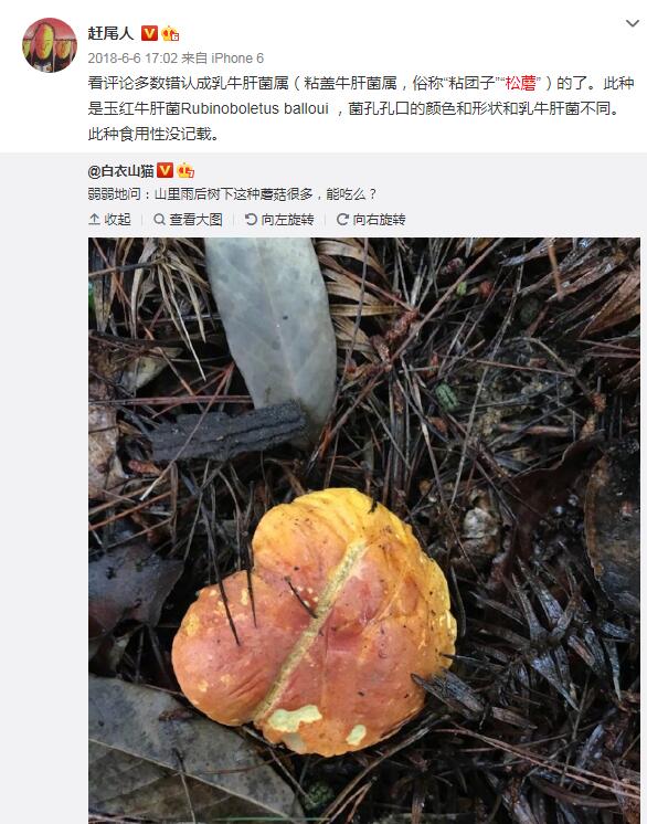�������泤��Ұ��Ģ�����Գ��� �ж���