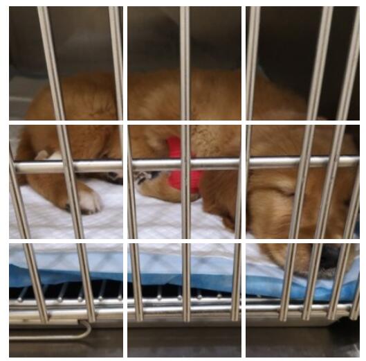 ������ϸС�������� ��ϸС�Ĺ���ǰ״̬ͼ