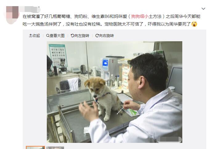 ������ϸС�������� ��ϸС�Ĺ���ǰ״̬ͼ