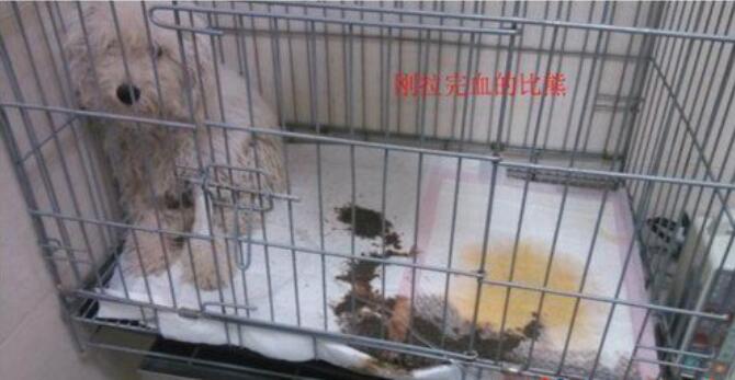 ������ϸС�������� ��ϸС�Ĺ���ǰ״̬ͼ