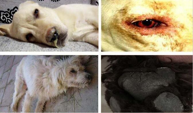 ������ϸС�������� ��ϸС�Ĺ���ǰ״̬ͼ