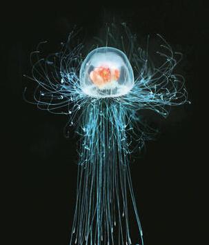 ����ˮĸ��������� ����ˮĸ���ϻ�ͯ