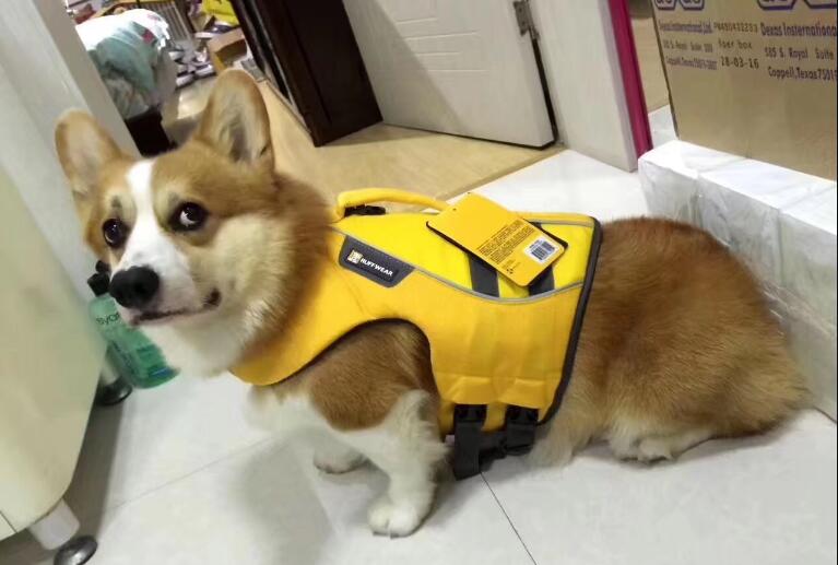 �����е�����Ҳ�ǹ��� ��������ÿ������ʲô