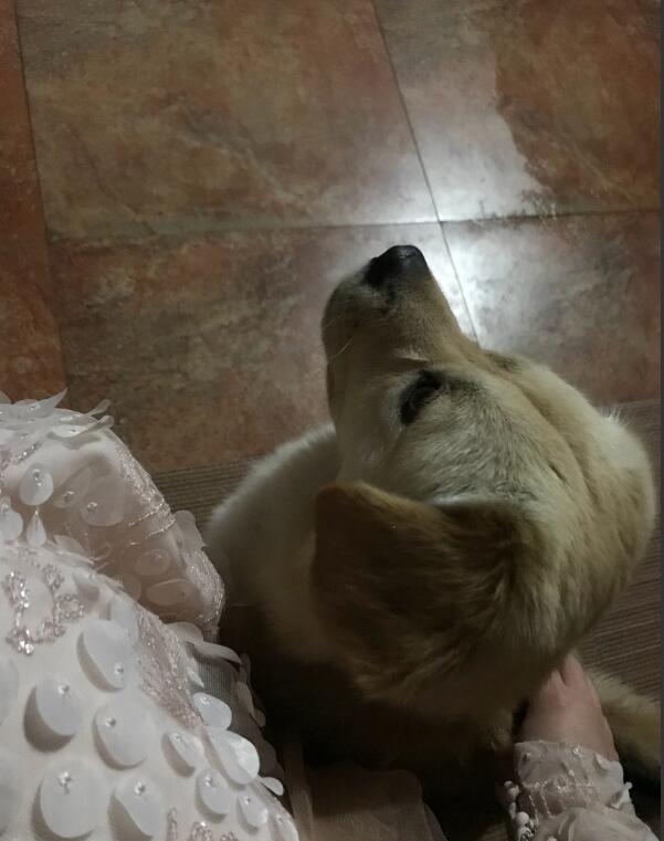 �����е�����Ҳ�ǹ��� ��������ÿ������ʲô