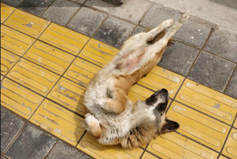 �����е�����Ҳ�ǹ��� ��������ÿ������ʲô