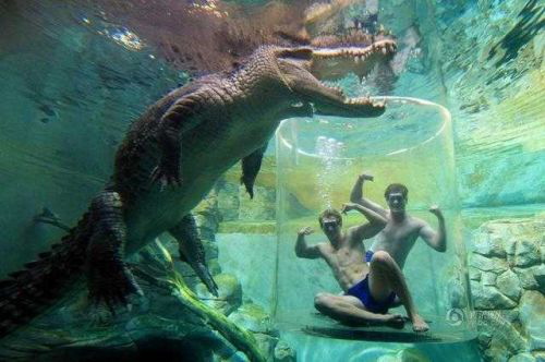 ��������������ô�ƽ� Ϊʲô����Ҫ��������