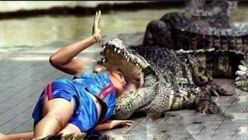 ��������������ô�ƽ� Ϊʲô����Ҫ��������