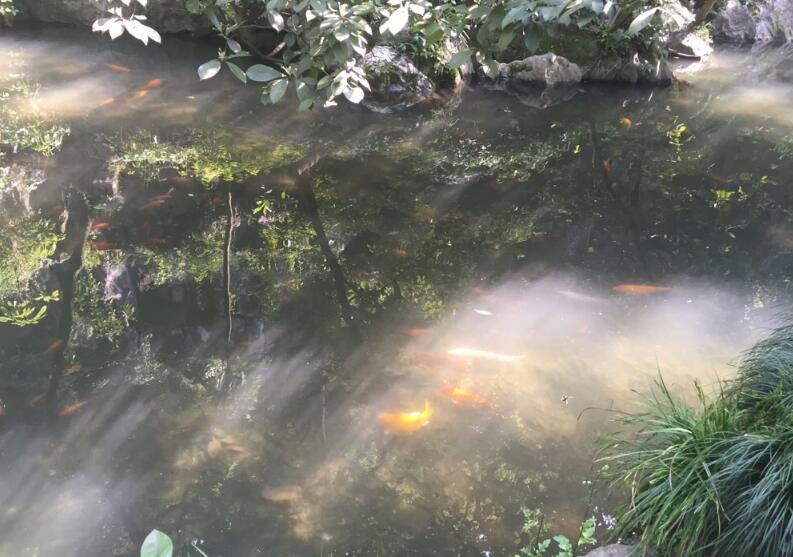 �Դ������� ���ϴ������˵��ص���