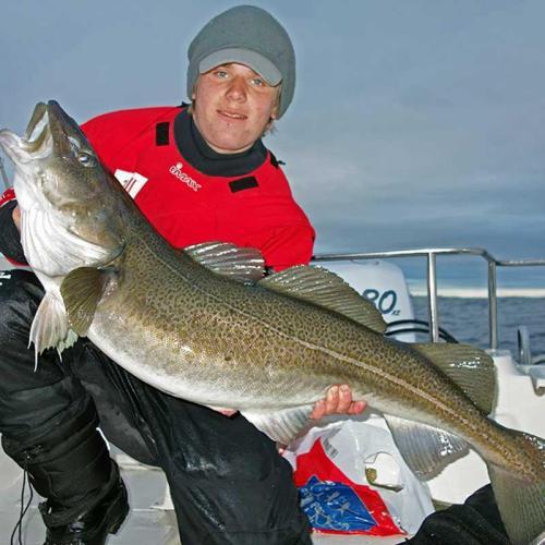 ����۸���ô�����ô�� ����Ϊʲô���Ķ�û��ͷ