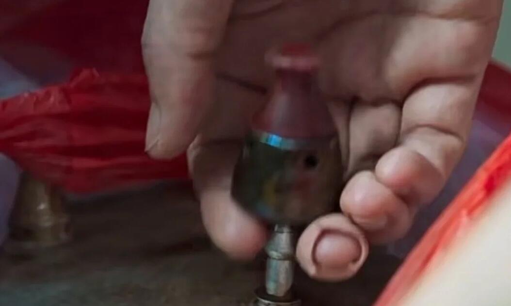 ����������Ϊʲô��ǰ�³�?�����Ƚ��