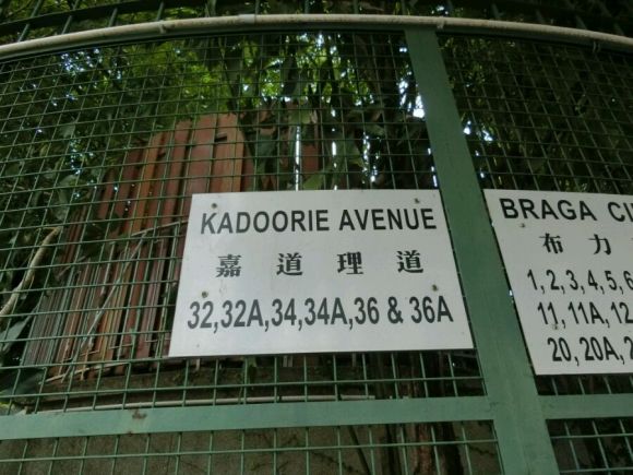 �Ӷ���ɽ32a����λ�������� ����˭��ס