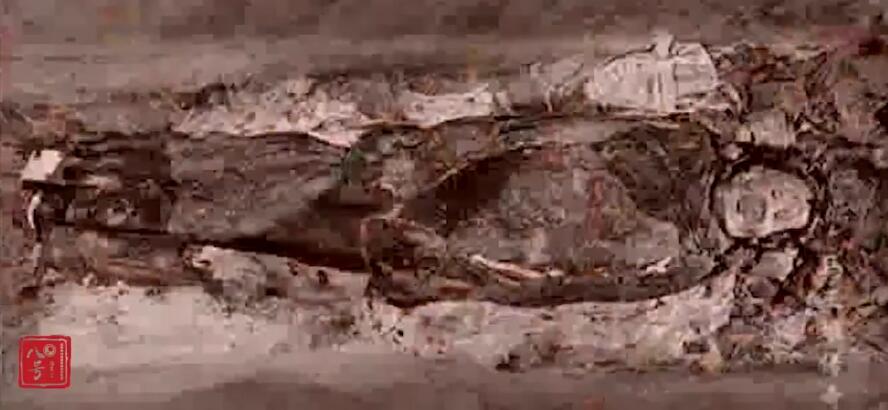 ��׷�ճ���ʱ��ͼƬ ��Ϊʲô����ͷ��ô����