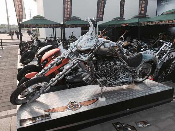 ������ʿΪʲô���ڸ��������� ������ʿĦ�г�����Ǯ