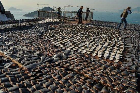 ������Ϊʲô���ܳ� ���������Ǯһ��