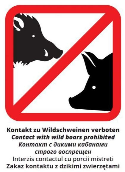 ����������ʲô�� ���Ժö�ս����ȴ�Ǻ���