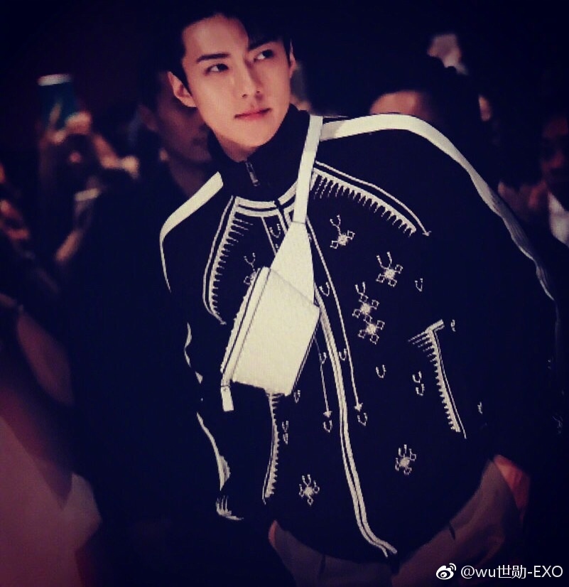 ����ѫæ��ʲô��˼ С�Ľ�æ�ڴ�Ľ�ʲô