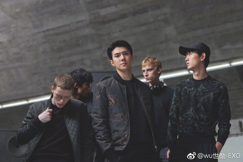 ����ѫæ��ʲô��˼ С�Ľ�æ�ڴ�Ľ�ʲô