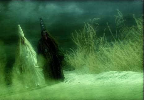 ��������֪��������� ��������ֻ��һ��ֽ�����