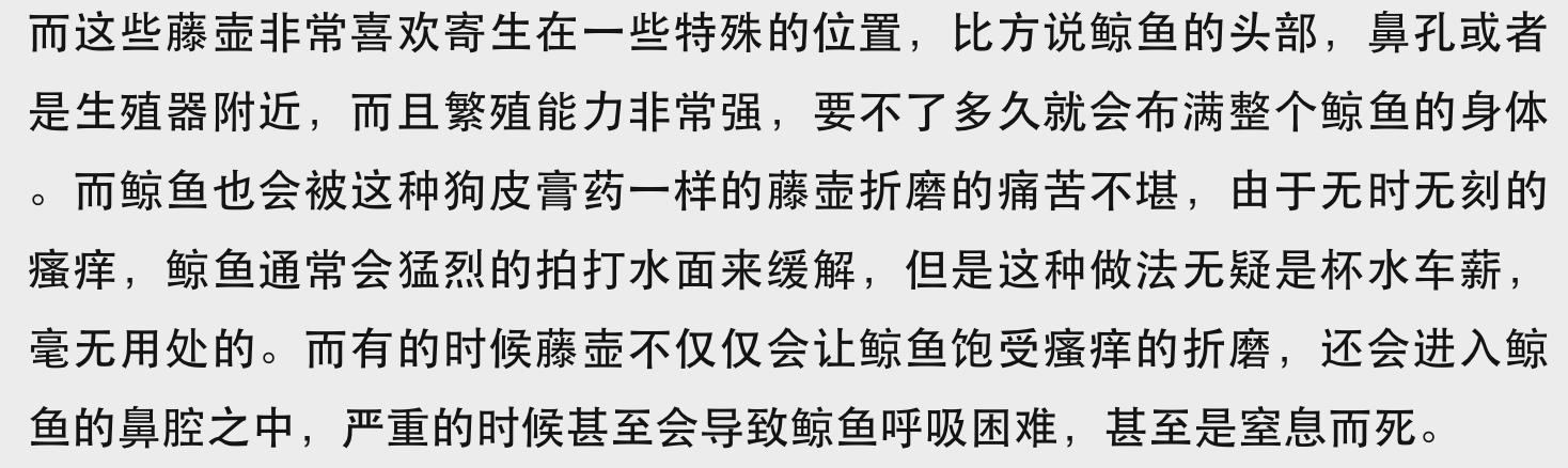 �ٺ������ھ���������ʲôΣ�� �ٺ��ھ�����������