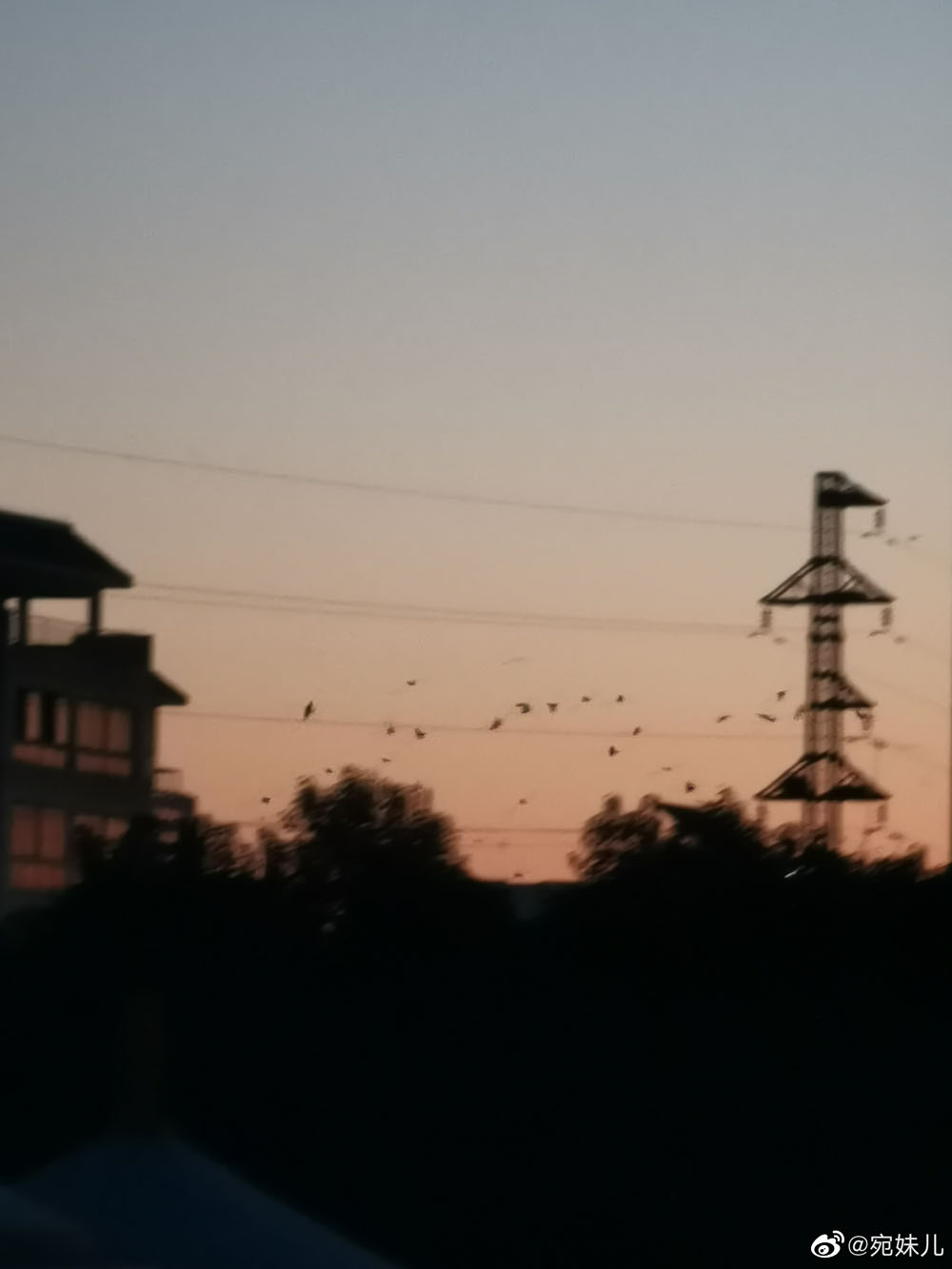 ��˵��ѻ��Ⱥ������������ʲô���� ��ѻ���ִ���ʲô